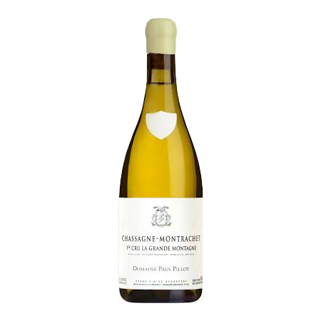 Chassagne Montrachet 2019