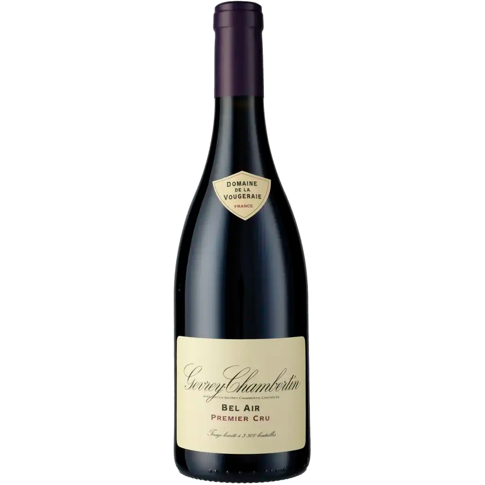 Gevrey Chambertin Bel Air 2020